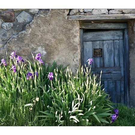 La Maison Abeil